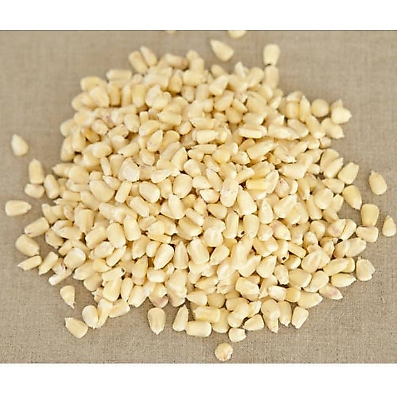jagung putih kering buat makanan grontol /nasi jagung isi 500g