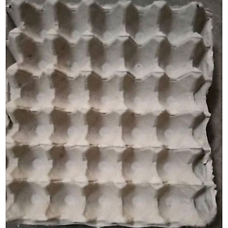 egg tray Tempat Telur Bekas satu pcs