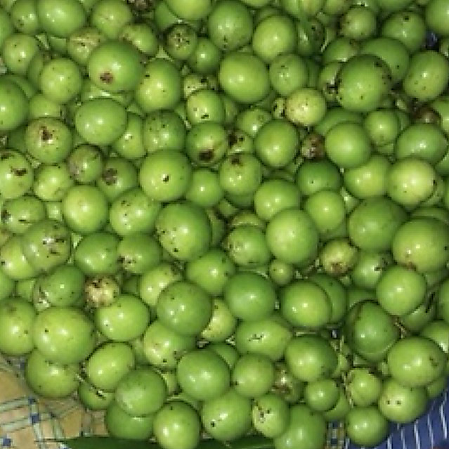 Buah Gandaria / Buah Jatake /  Buah  Ramania