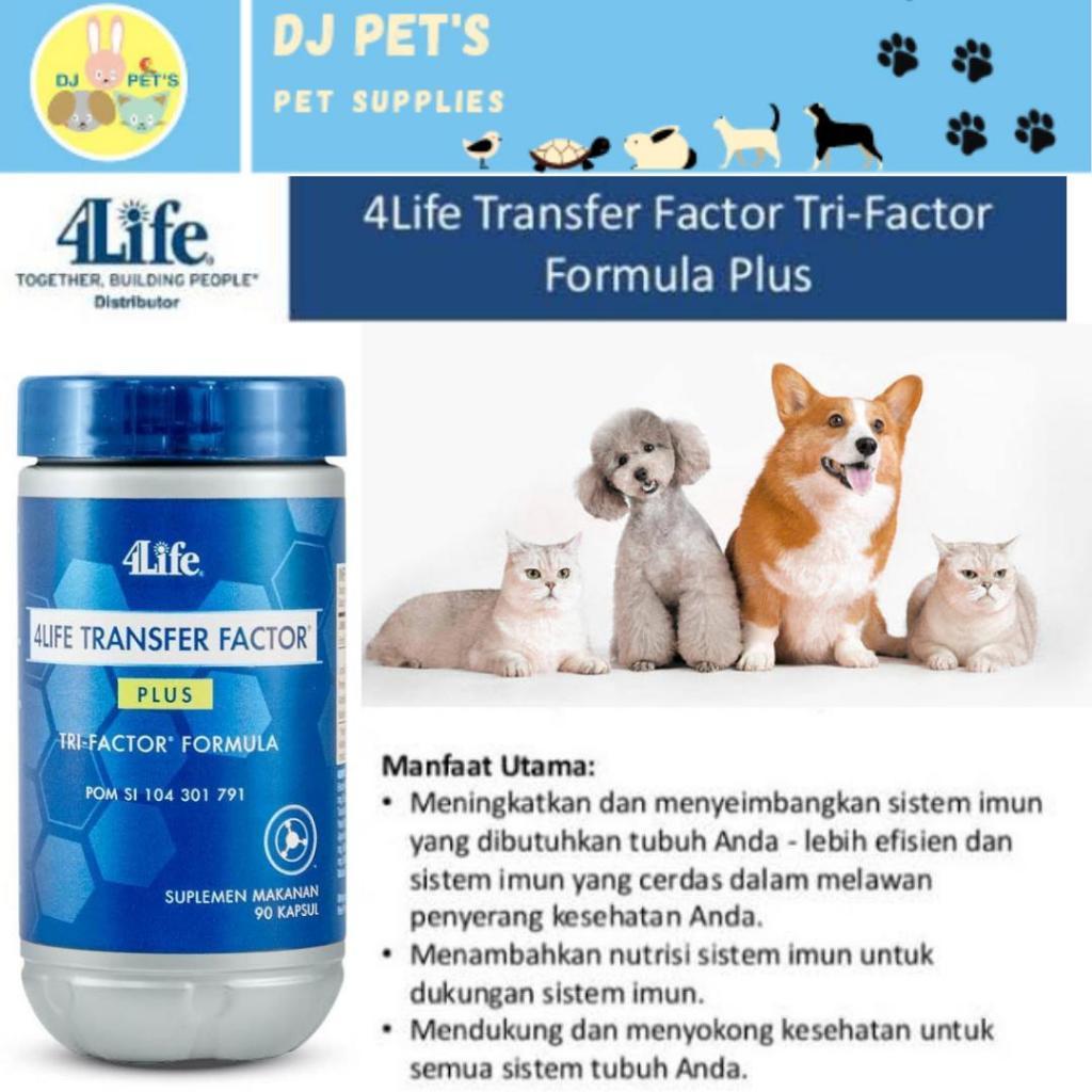 transfer factor plus original vitamin suplemen sistem imun kucing anjing anabul 10 kapsul