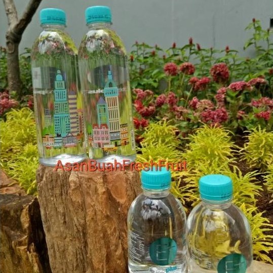 Air Mineral Eternal Plus E+ 250 Ml / Box