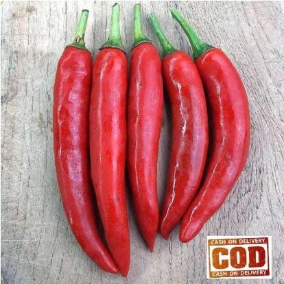 CABE MERAH BESAR -COD- 20 Biji / Benih / bibit CABAI BESAR