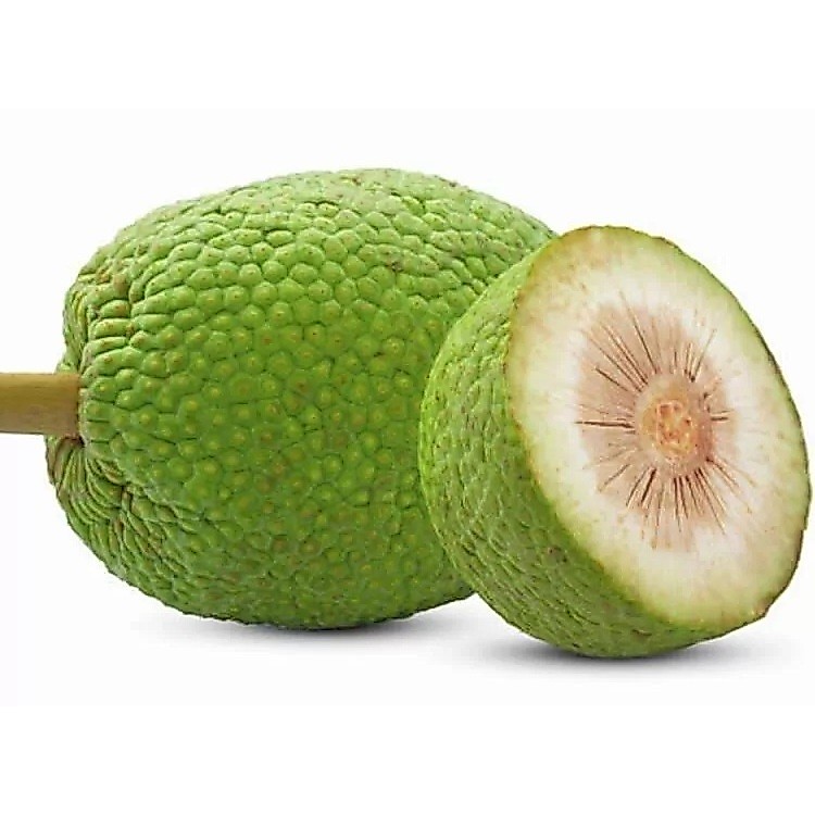 Sukun, sayur sukun, buah sukun