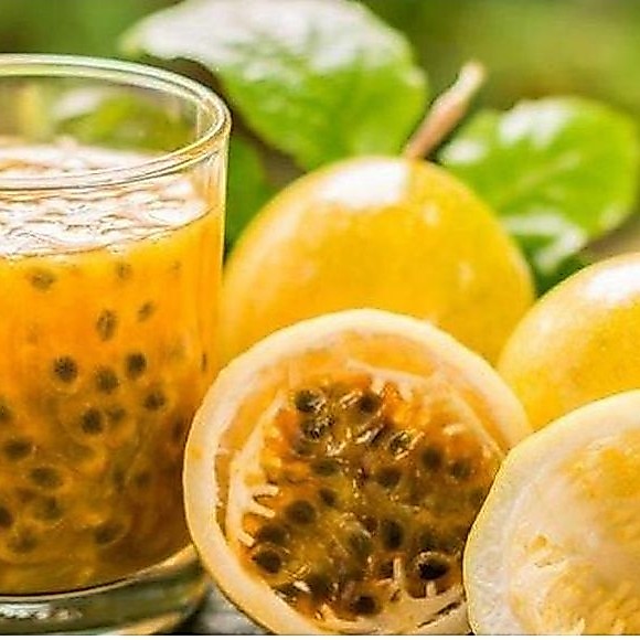 markisa konyal kuning manis 1kg