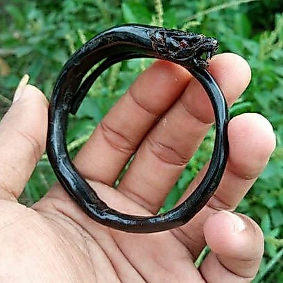 Gelang /Gelang akar bahar/Gelang akar bahar ukir /Gelang akar bahar ukir singa/Gelang akar bahar uki