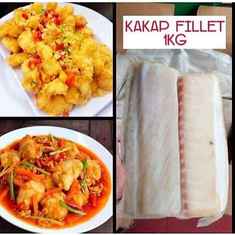 Fillet kakap frozen 1kg / kakap fillet beku