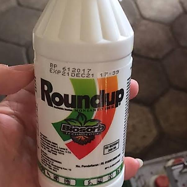 DISKON OBAT PEMBASMI RUMPUT LIAR RONDUP