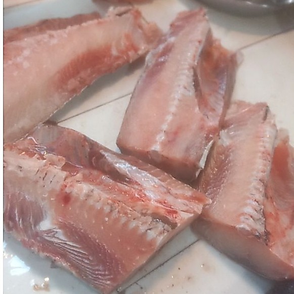 IKAN BAUNG LAUT