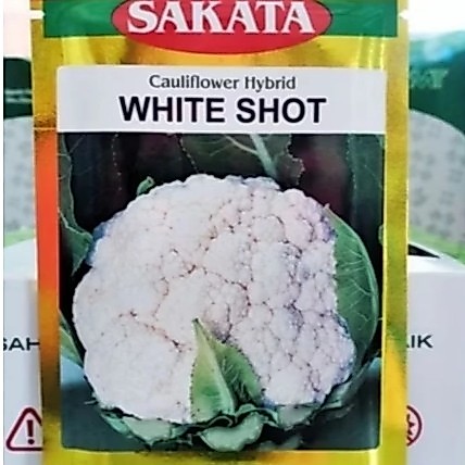 benih bunga kol couliflower hybrid SAKATA F1 kemasan 10gram profuksi benih sakata