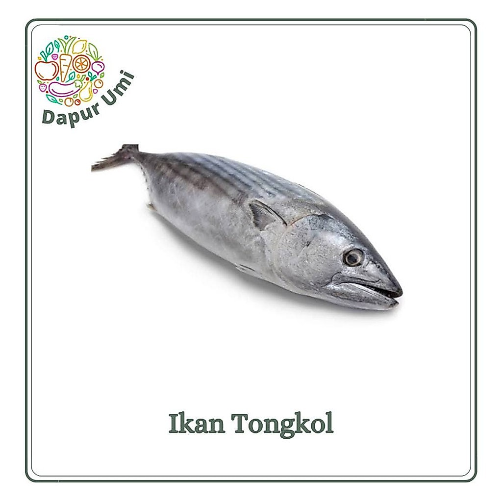 IKAN TONGKOL ASIN - IKAN SEGAR PURWAKARTA