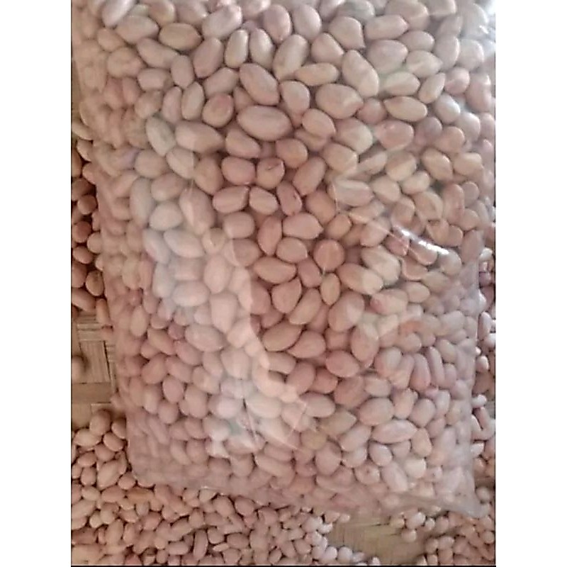 1KG BENIH KACANG TANAH GARUDA UNGGULAN