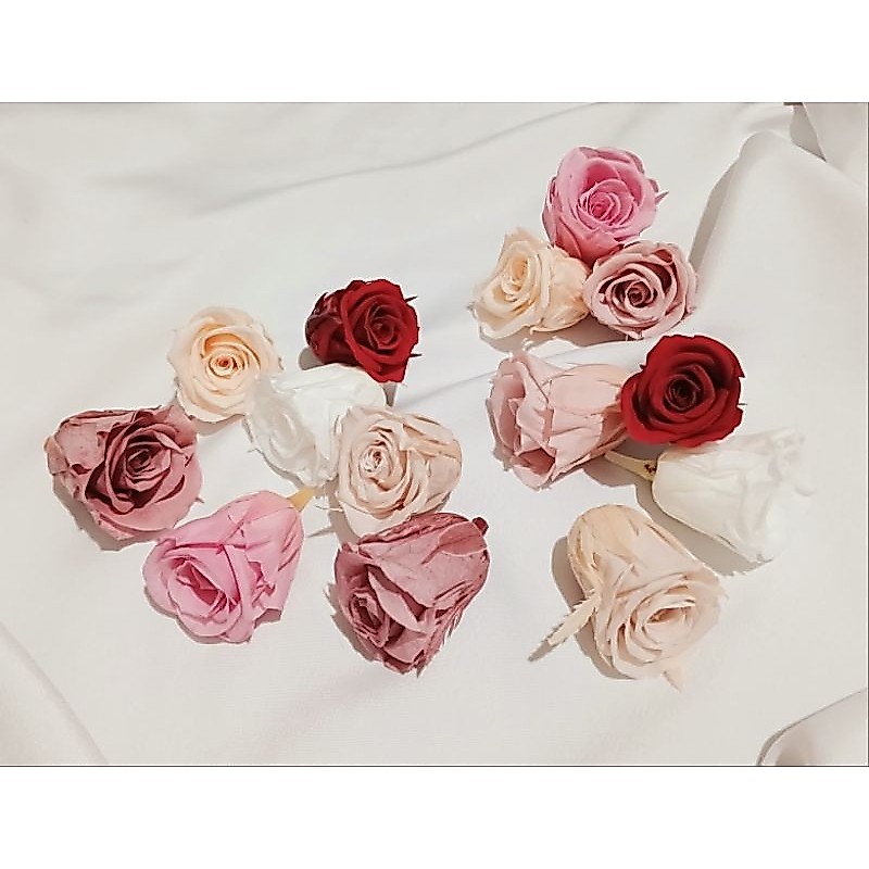 PRESERVED ROSE/MAWAR
