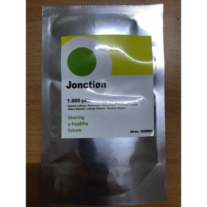 Bibit Benih Selada Batavia Jonction Junction RZ Rijk Zwaan 1 Pills *