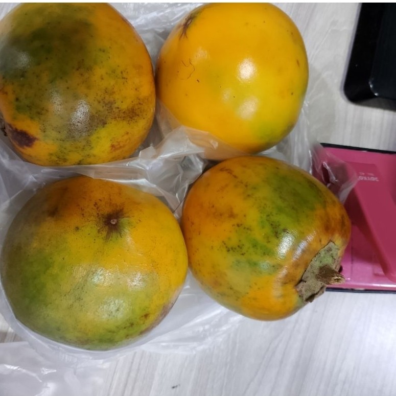 terong asam 1 kg