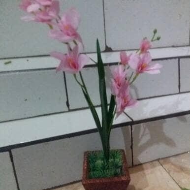 Ada Stok anggrek mini/bunga plastik
