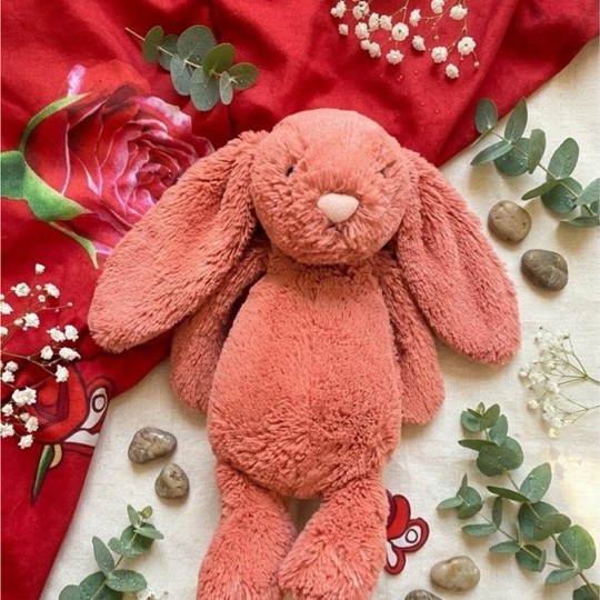 jellycat bashful sorrel bunny