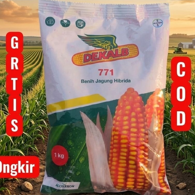 Benih jagung hibrida  DEKALB 771 Kemasan 1kg Original