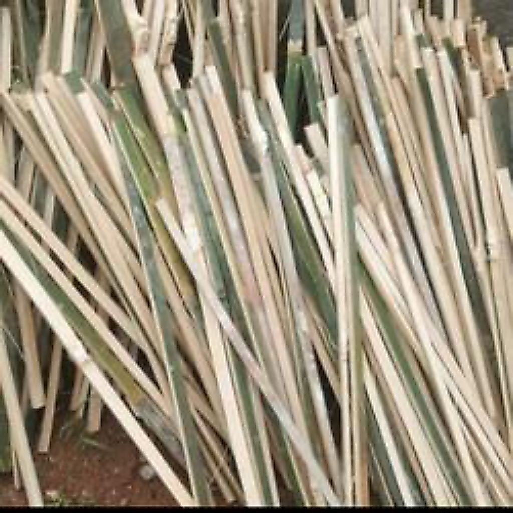 bambu bilah ukuran 3x2x200 isi 10 pic bambu tua sudah di serut rapih