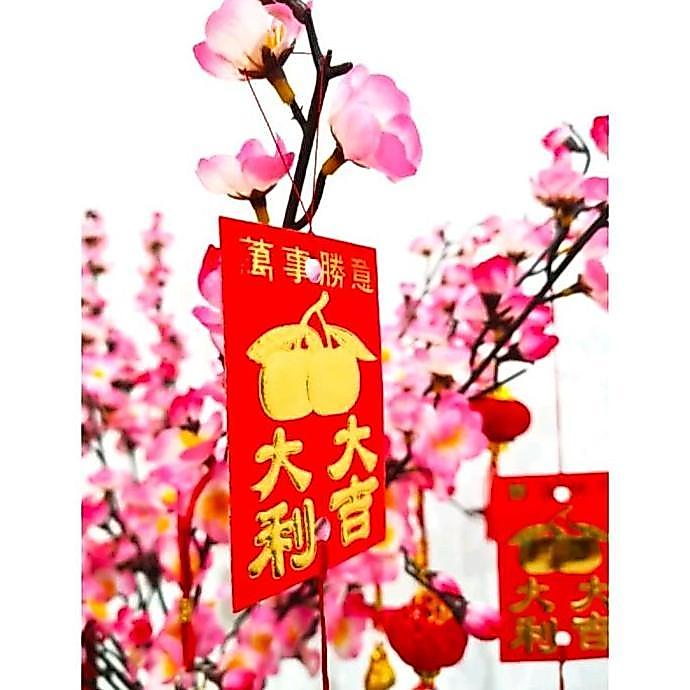 Pohon Angpao ukuran 40cm /Pohon Imlek /Bunga Sakura /Pohon Meihua