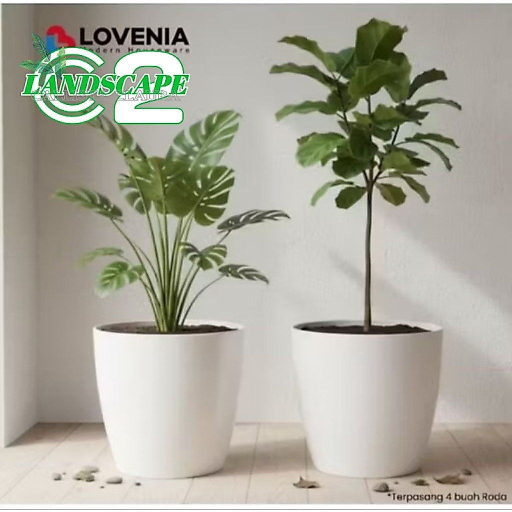 Pot Bunga Lovenia 40// pot model Keramik Roda 4 Bisa Untuk BAK AIR