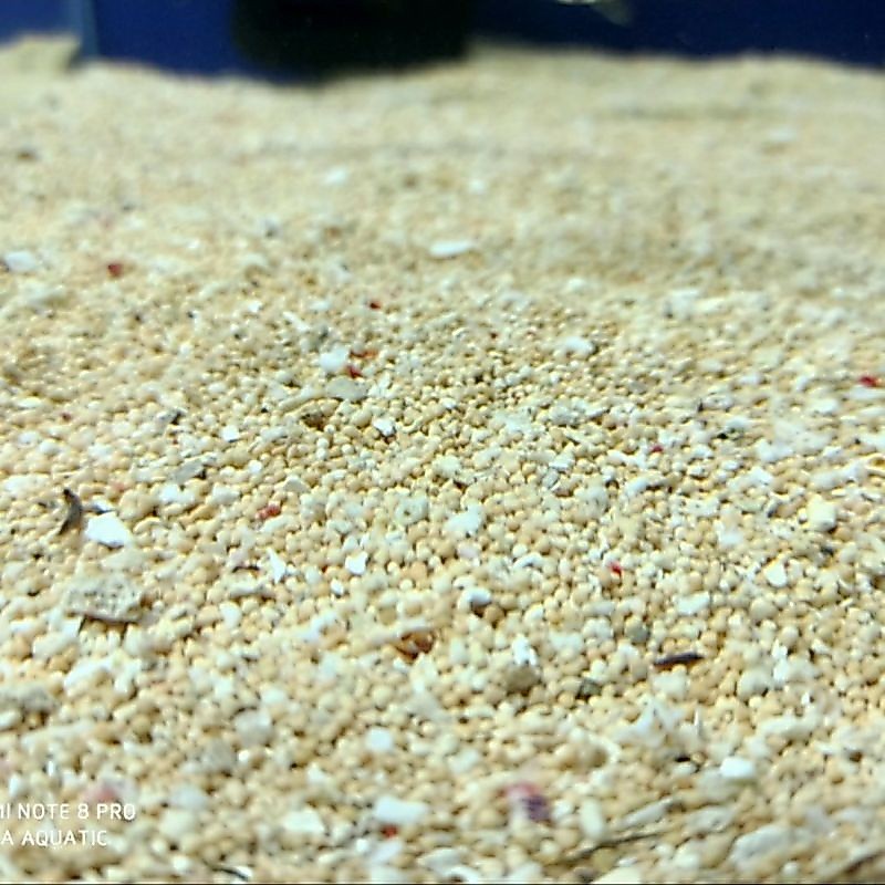 Pasir Bali Karungan Pasir Aquarium Pasir Ikan Hias 1 Karung