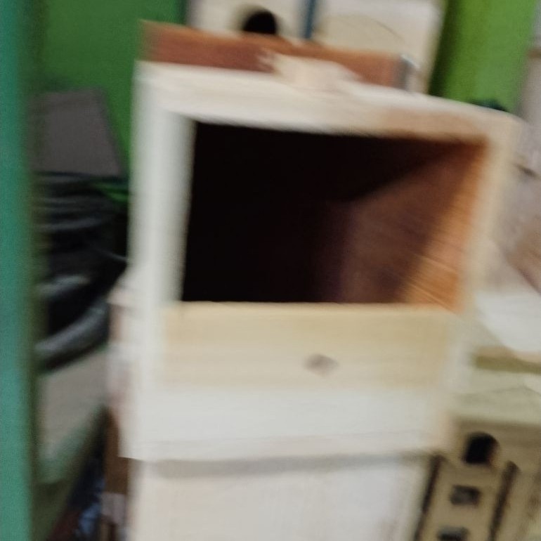 Glodok burung parkit Finch emprit