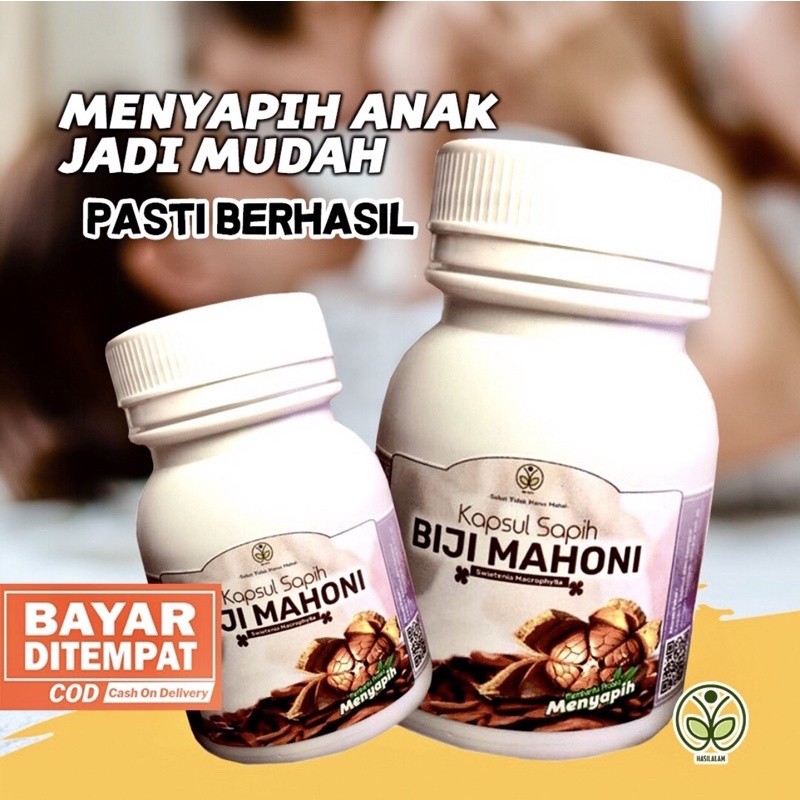 BM - Biji Mahoni Kapsul Obat Sapih Anak Herbal Menyapih Jadi Mudah