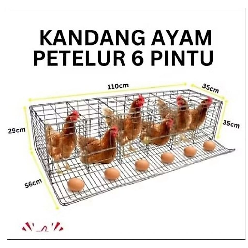kandang ayam petelur 6 pintu 6 ayam asli galvanis