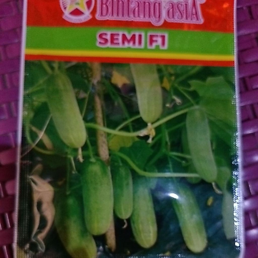 BIBIT TIMUN SEMI  F1