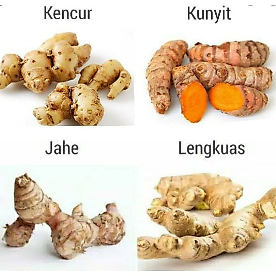 Paket jahe, kunyit, lengkuas, kencur
