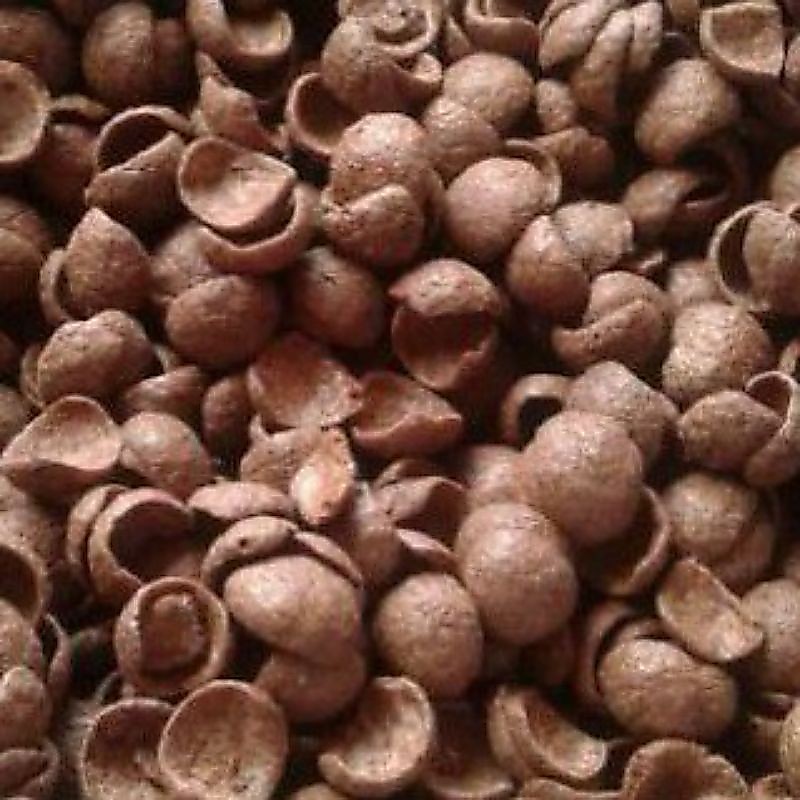 COCO CRUNCH DUO 500GR (1/2KG) - CHOCO CHIP SEREAL COKLAT SARAPAN - CEMILAN