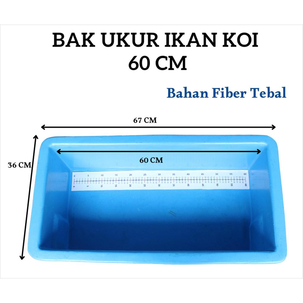 Bak Ukur Ikan Koi 60x30x20Cm - Bak Ukur Fiber Tebal Premium