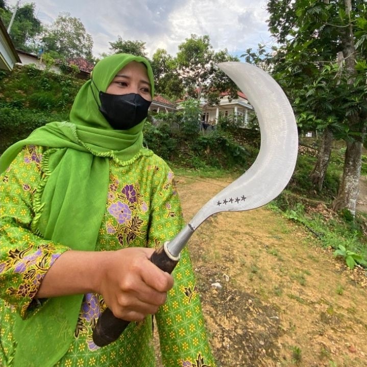 arit rumput arit bintang lima asli madura
