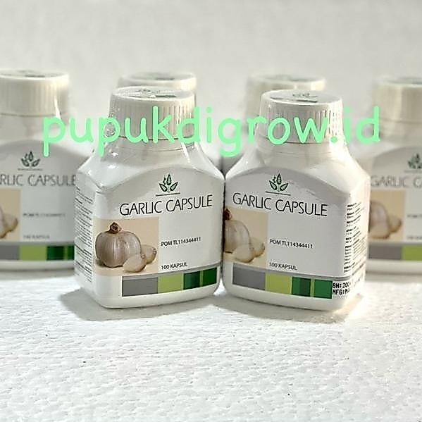 Garlic Plus Obat Kolesterol Herbal 100 Tablet Diamond Interest