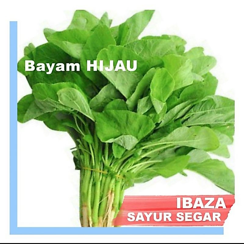 Sayur Bayam Hijau Sayuran Segar IBAZA fruitsBOX