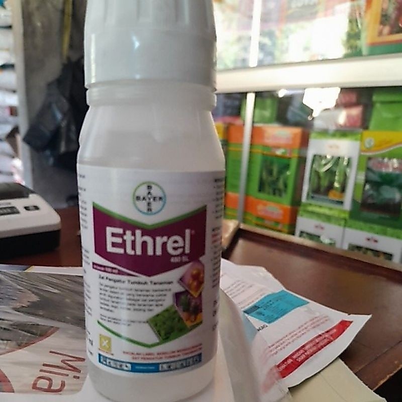 Ethrel (pemasak buah)