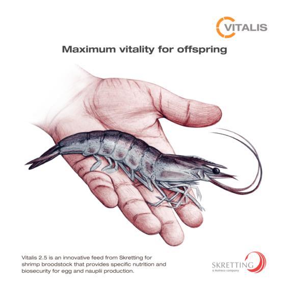 Pakan Induk Skretting Vitalis 2.5 untuk Vitalitas (calon) Induk Udang
