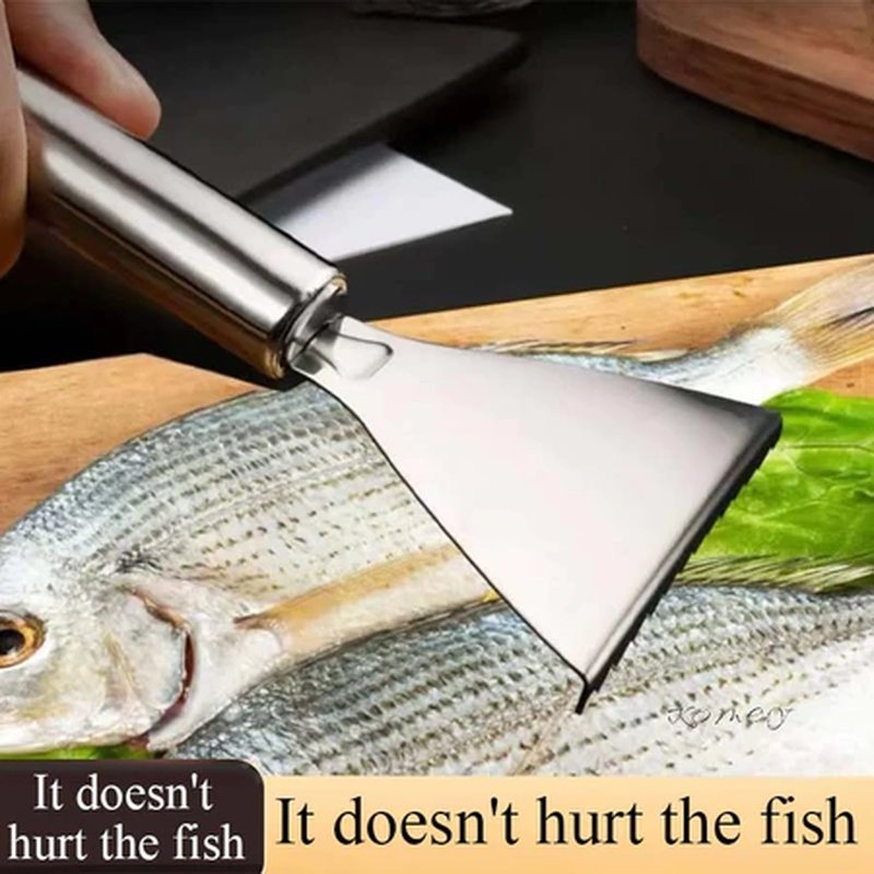 Pengupas Sisik Ikan Stainless Steel Anti Karat Fish Scale Scraper Alat Dapur Nyota komey Alat Pember