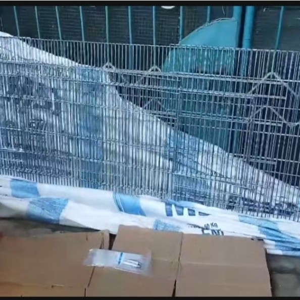 Alas Kandang Galvanis Kelinci Marmut Musang