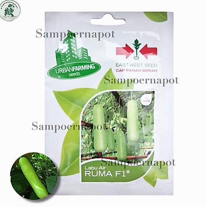 Okebro- Noni- Benih Bibit Labu Air Ruma F1 Cap Panah Merah - Labu Air Ruma F1