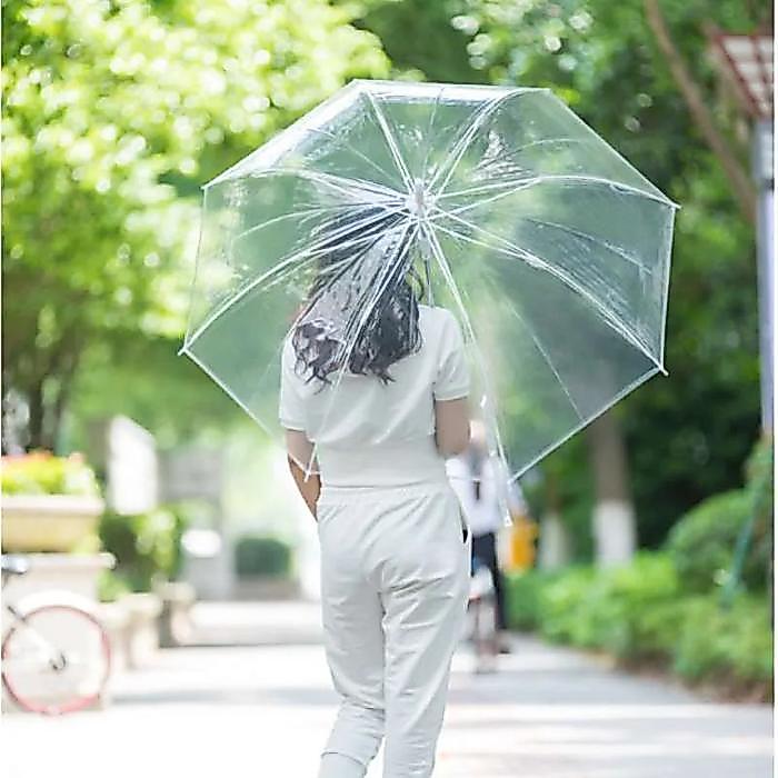 Payung Transparan Bening umbrella transparant Korea umbrella Plastik