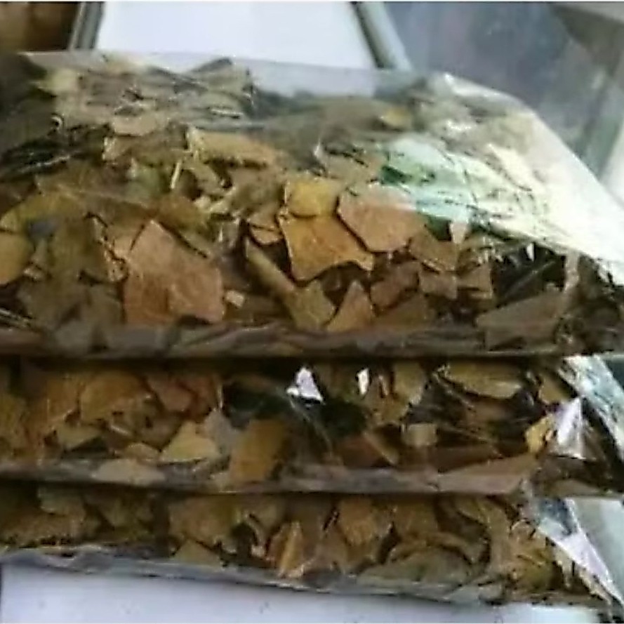 100 g DAUN SUKUN KERING|OBAT HERBAL DAUN SUKUN