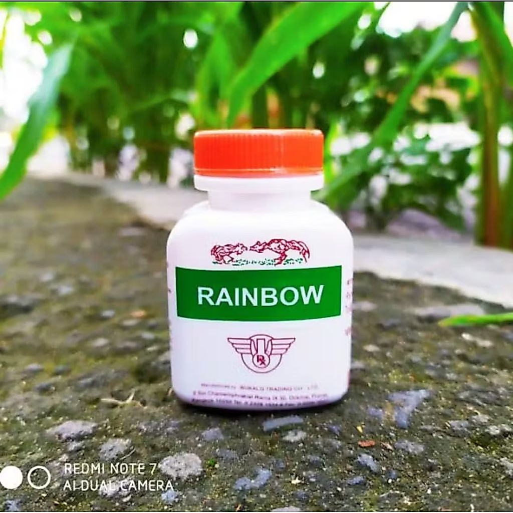 Rainbow Ayam MultiVitamin Ayam Bangkok / Penambah Tenaga Ayam Aduan