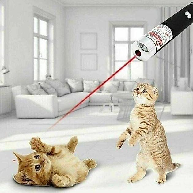 CORELA Gantungan Kunci Red Laser Pointer Tunjuk Senter Lampu Mini 2in1 2 in 1 Red Dot Mainan Anak Ku