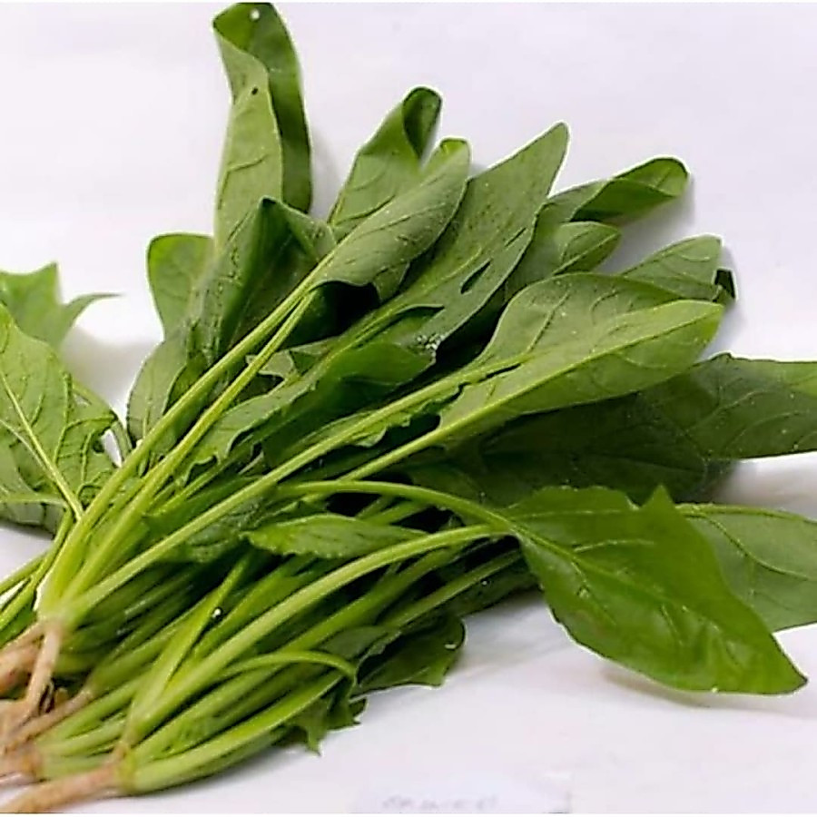 Bayam Jepang Bayam Jepang Horenzo Poling Hornzo 500gr