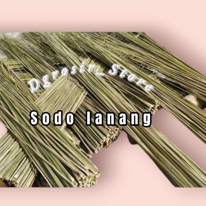 Sapu Lidi Aren/Sodo Lanang Isi 40 Pics Super Pilihan Ampuh Kuat  Penolak