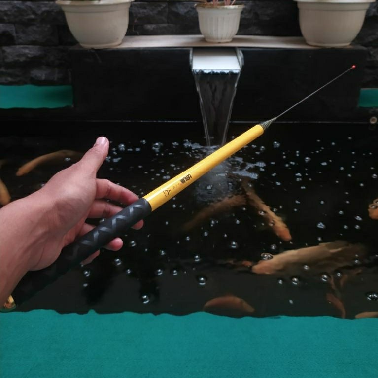 Threefish jianghome new p 360