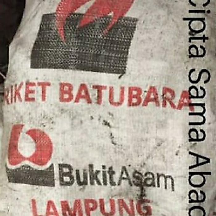 Briket Batubara Bukit Asam