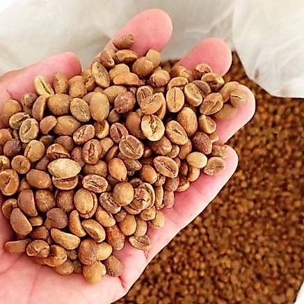 Greenbean Robusta Wine Strong Temanggung 1 kg