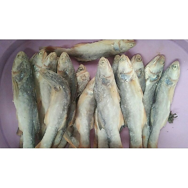 IKAM ASIN SINANGIN